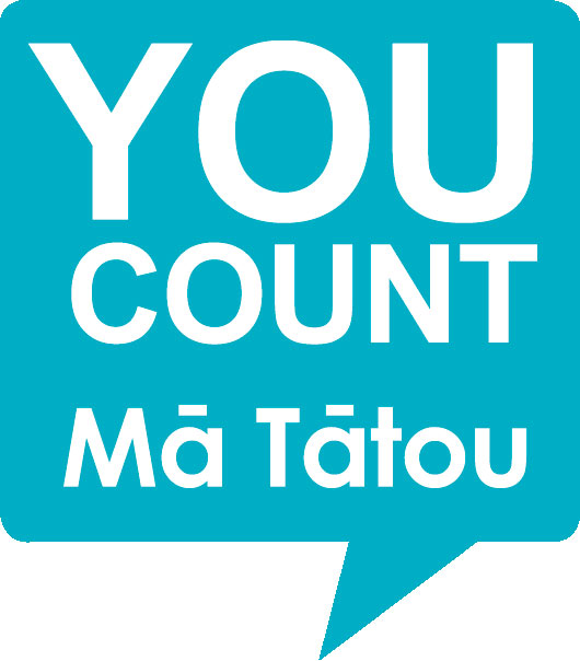 Census 2013 logo