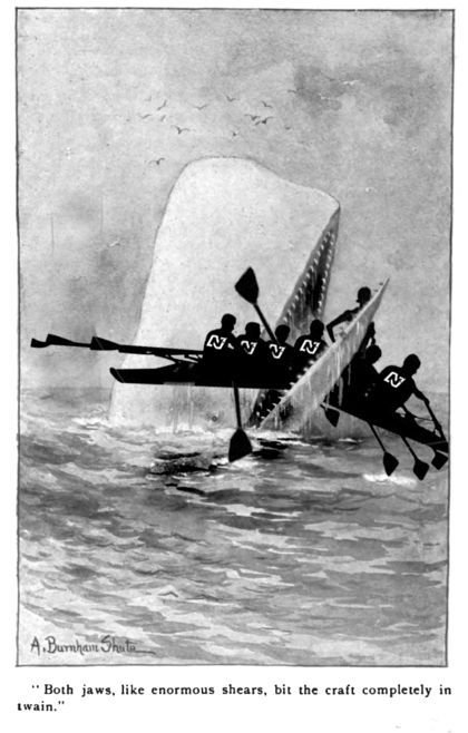 Whale attack new-0-420-0-1000