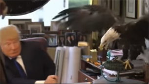eagle vs trump
