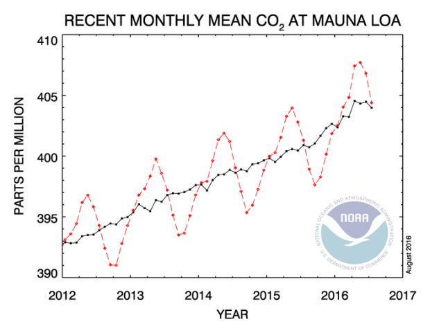 TS co2_trend_mlo