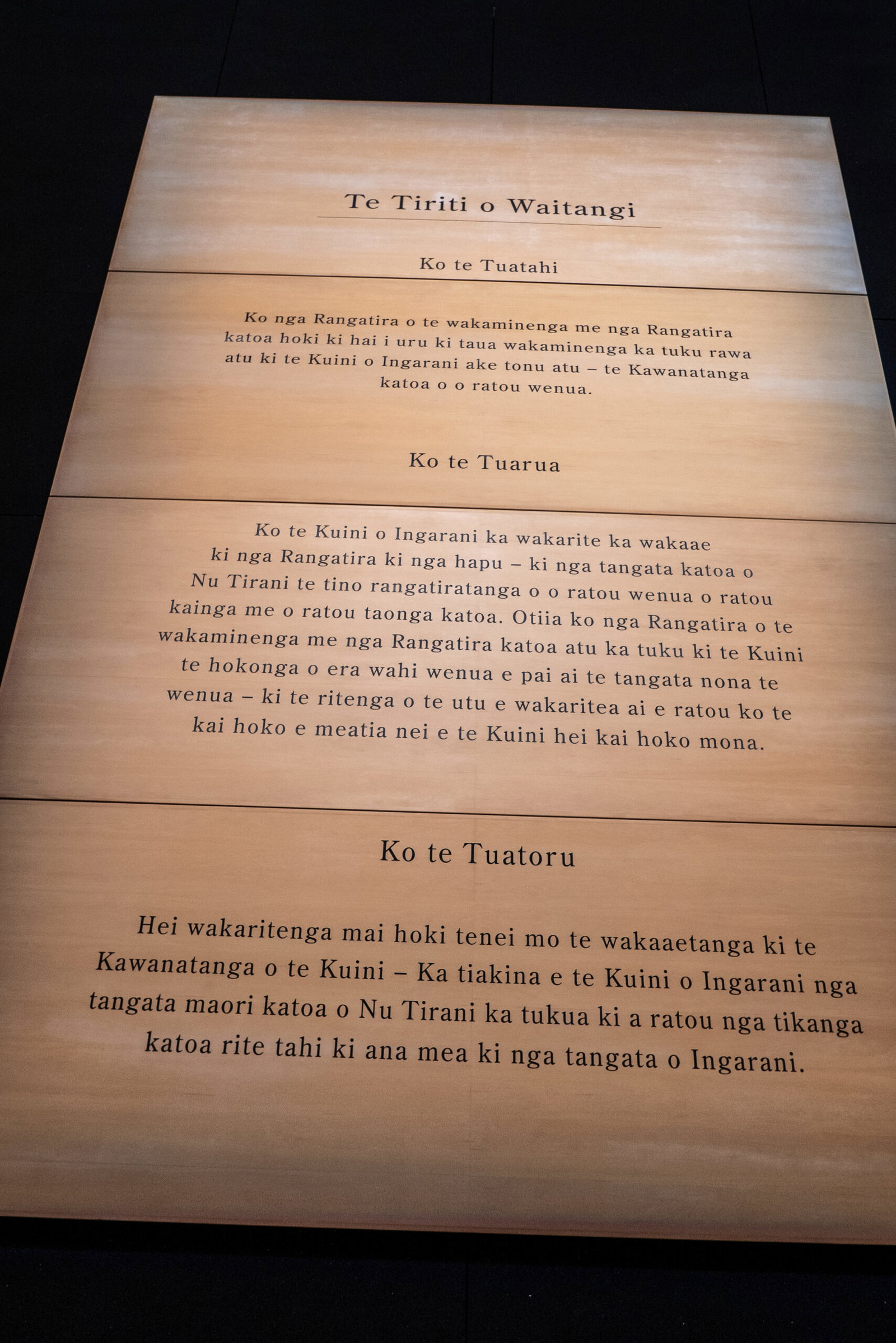 Treaty of Waitangi